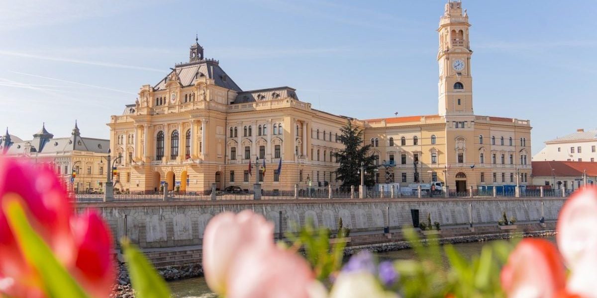 Oradea: Consilierii locali „promovează” îngrijitori la inspectori