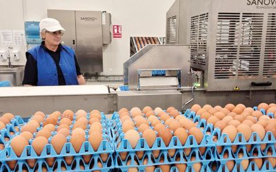 Toneli, gigantul ouălor, investește 40 mil. euro în România