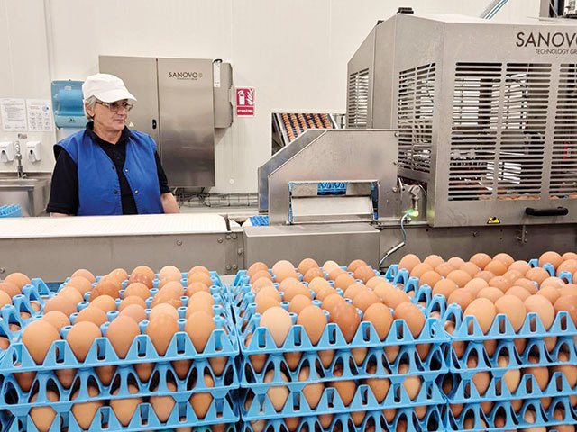 Toneli, gigantul ouălor, investește 40 mil. euro în România