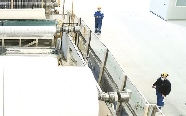 Sofidel (Regina) bagă 10 milioane € în producția de hârtie igienică la Călărași