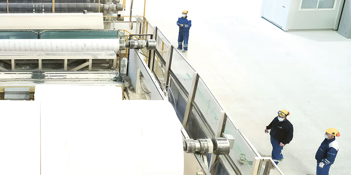 Sofidel (Regina) bagă 10 milioane € în producția de hârtie igienică la Călărași