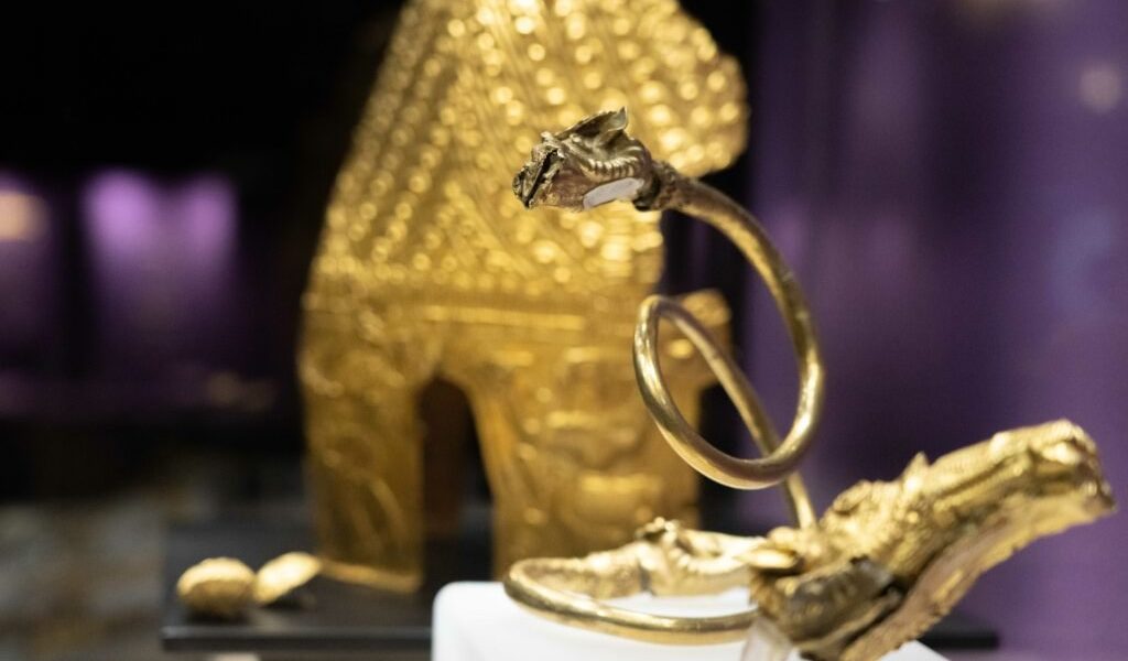 Jaful Tezaurului Dacic: Parchetul Olandez cere ani grei de pușcărie pentru hoți! Mama unuia, șocată!