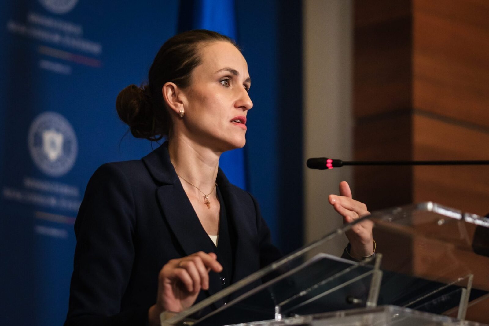 ȚOIU, discuții cu viitoarea șefă de la Externe a Ungariei: „Admir poporul ungar”