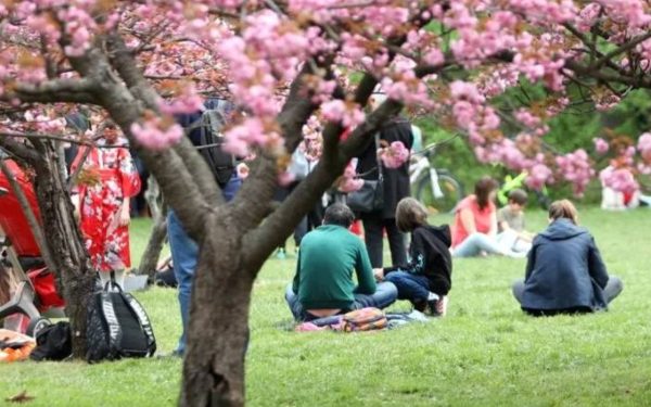 Tradiție SECULARĂ din Japonia, adoptată în PREMIERA în România