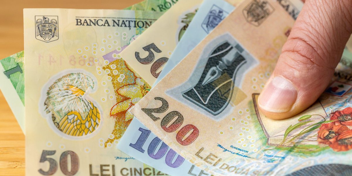 Banca Națională, anchetă amplă: 12.000 de gospodării, la control financiar!