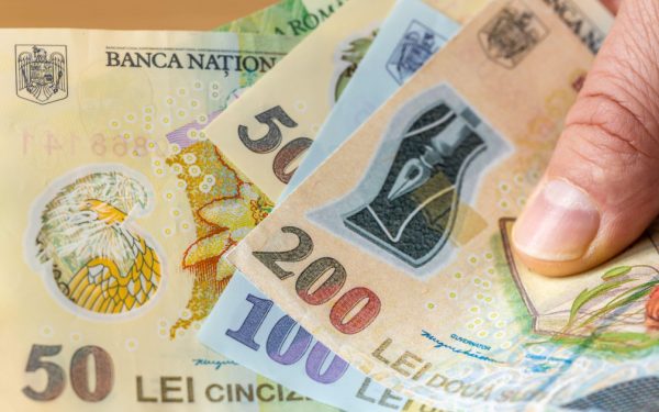 Banca Națională, anchetă amplă: 12.000 de gospodării, la control financiar!