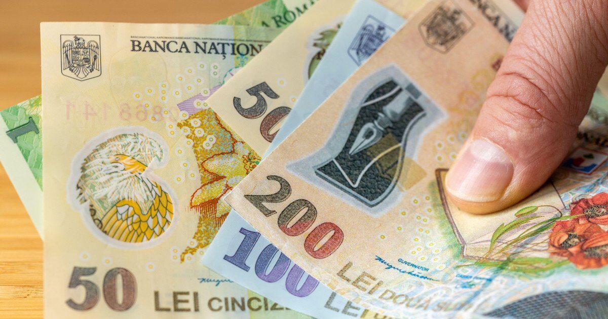 Banca Națională, anchetă amplă: 12.000 de gospodării, la control financiar!