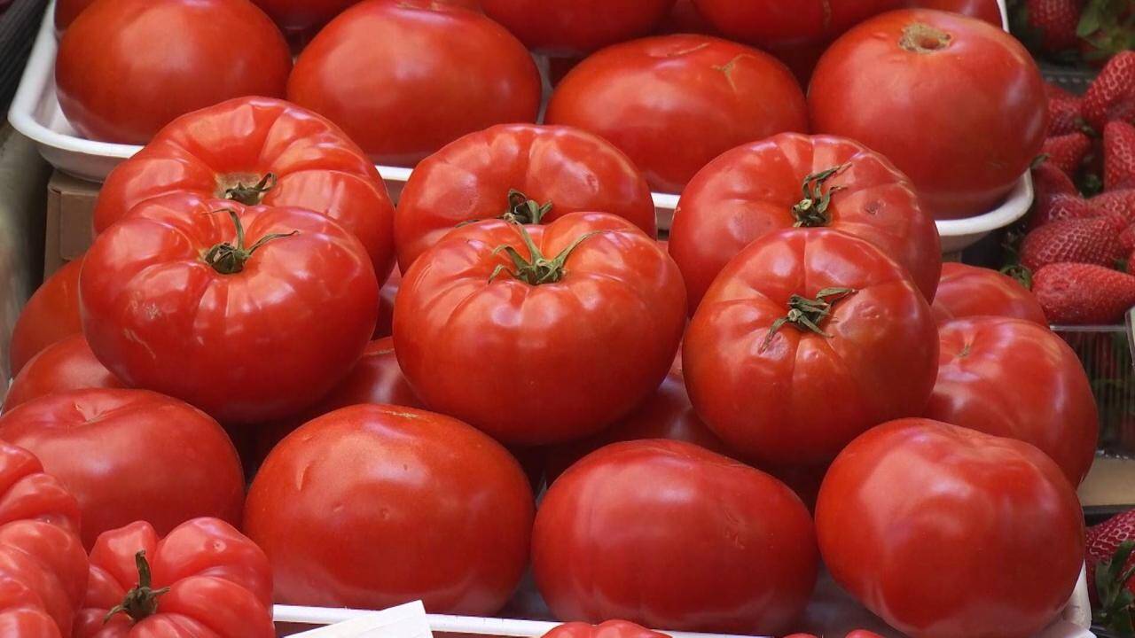 Cât costă roşiile româneşti în pieţe, în aprilie 2026 Preţurile roşiilor româneşti din pieţele din România în luna aprilie 2026 au înregistrat fluctuaţii faţă de lunile anterioare, ajungând, în anumite zone, aproape de pragul de 10 lei pentru kilogram