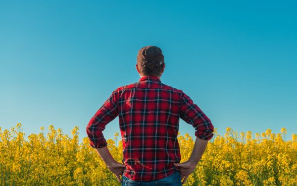 Manosphere, un pericol real? Politicieni britanici cer măsuri pentru bărbați