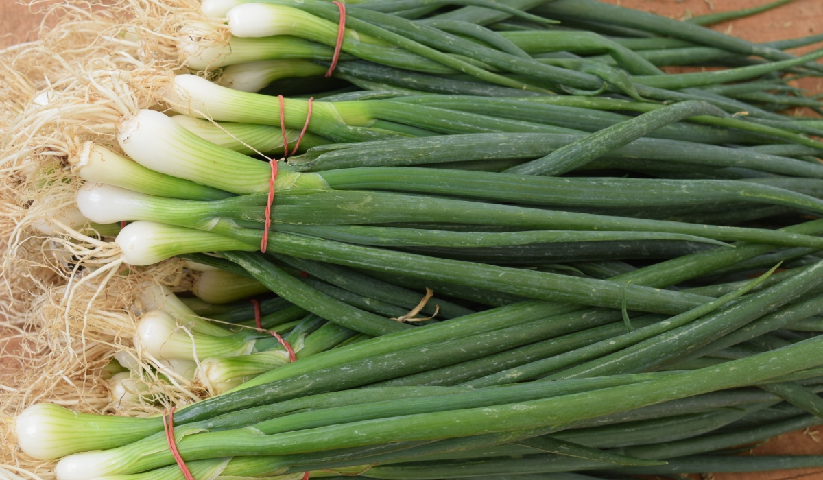 Cum poți cultiva ceapă verde în pahar, fără pământ și efort