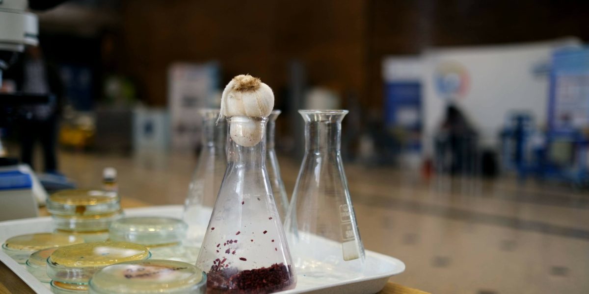 Biofest 2026 la Politehnică: Cum va arăta mâncarea viitorului în România?