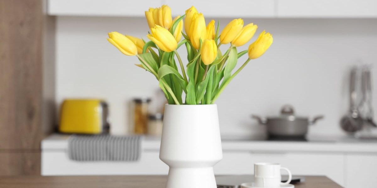 De ce pun grădinarii cuie în ghivecele cu flori: efectul e uluitor!