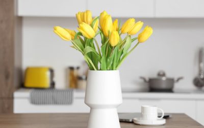 De ce pun grădinarii cuie în ghivecele cu flori: efectul e uluitor!