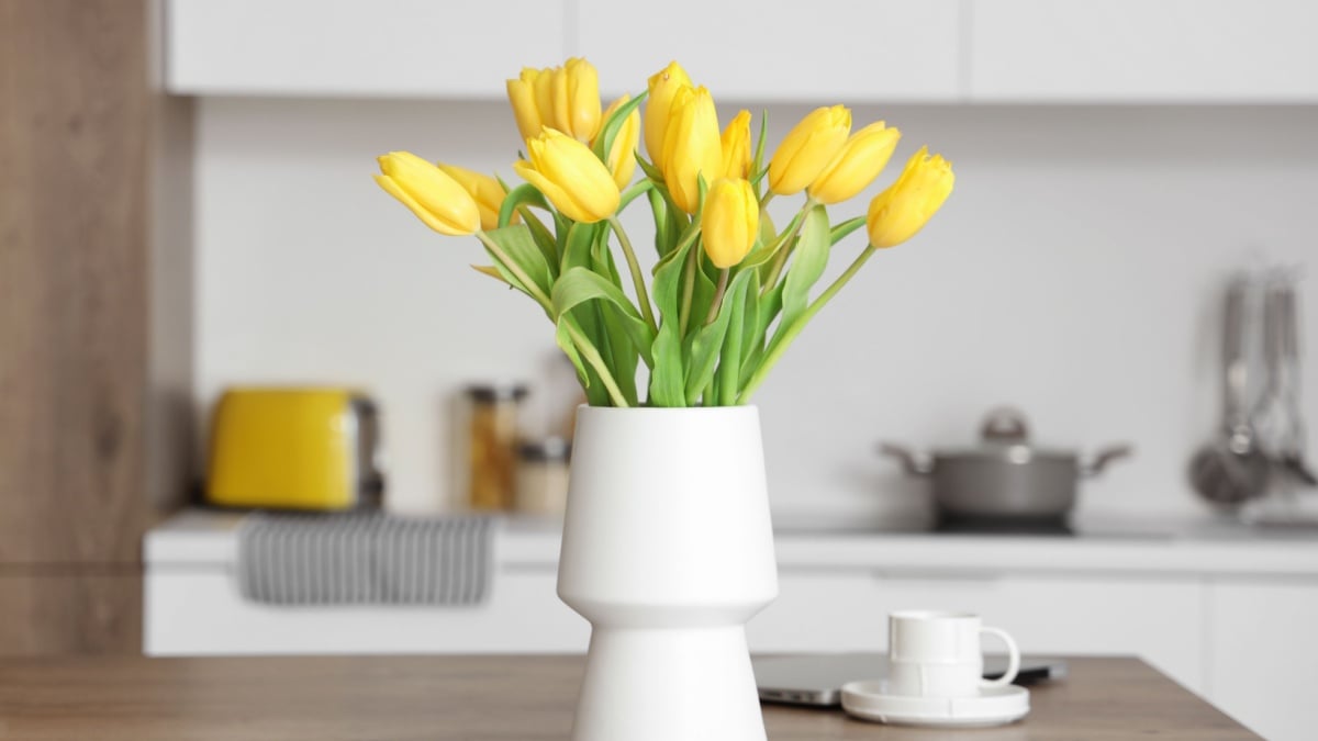 De ce pun grădinarii cuie în ghivecele cu flori: efectul e uluitor!