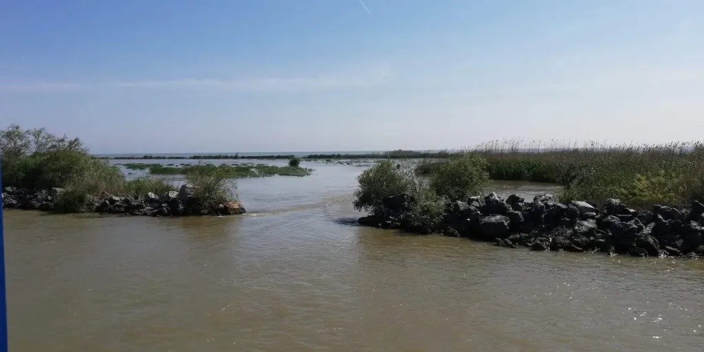 Începe PROHIBIȚIA în Delta Dunării: peștii se înmulțesc, pescuitul e interzis!