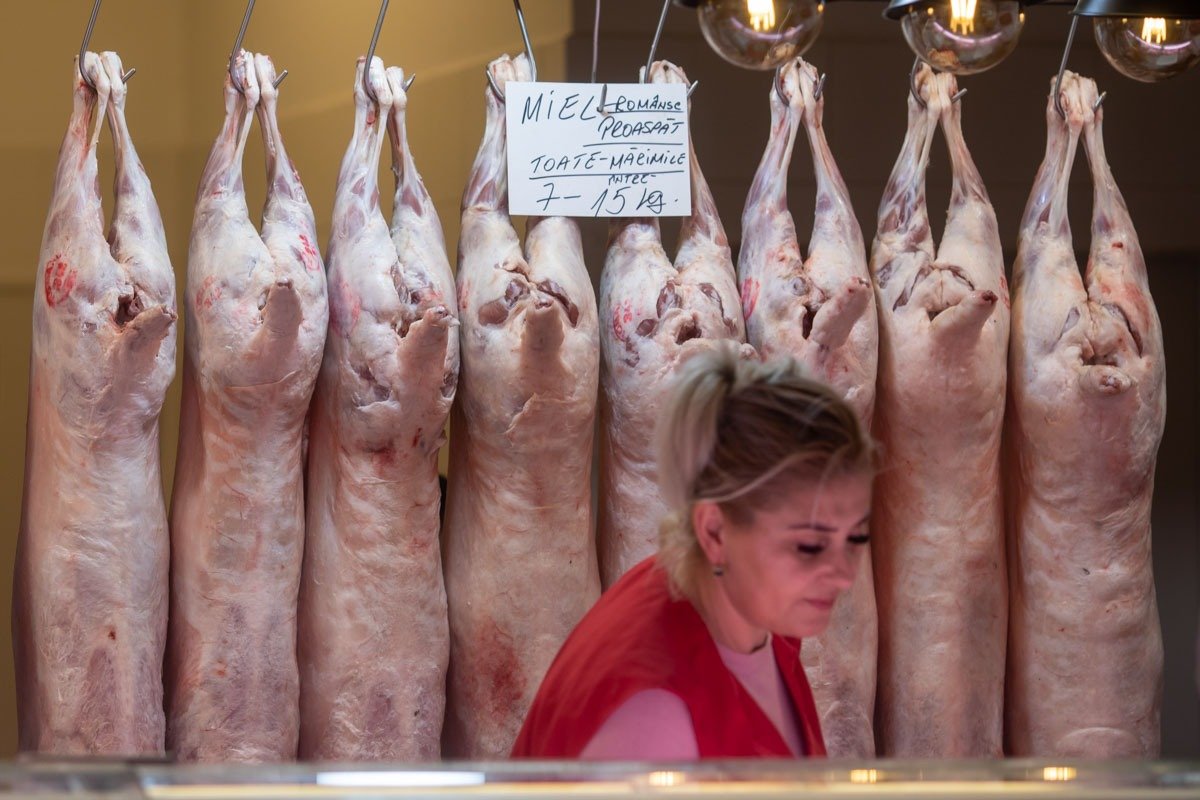 Prețurile la miel în Arad, la nivelul anului trecut sau mai mici, crescătorii se tem pentru animale în contextul războiului din Orientul Mijlociu