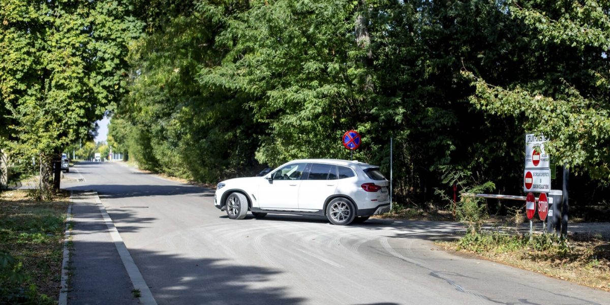 Închiderea drumului din Pădurea Băneasa: Federația Greenfield ripostează