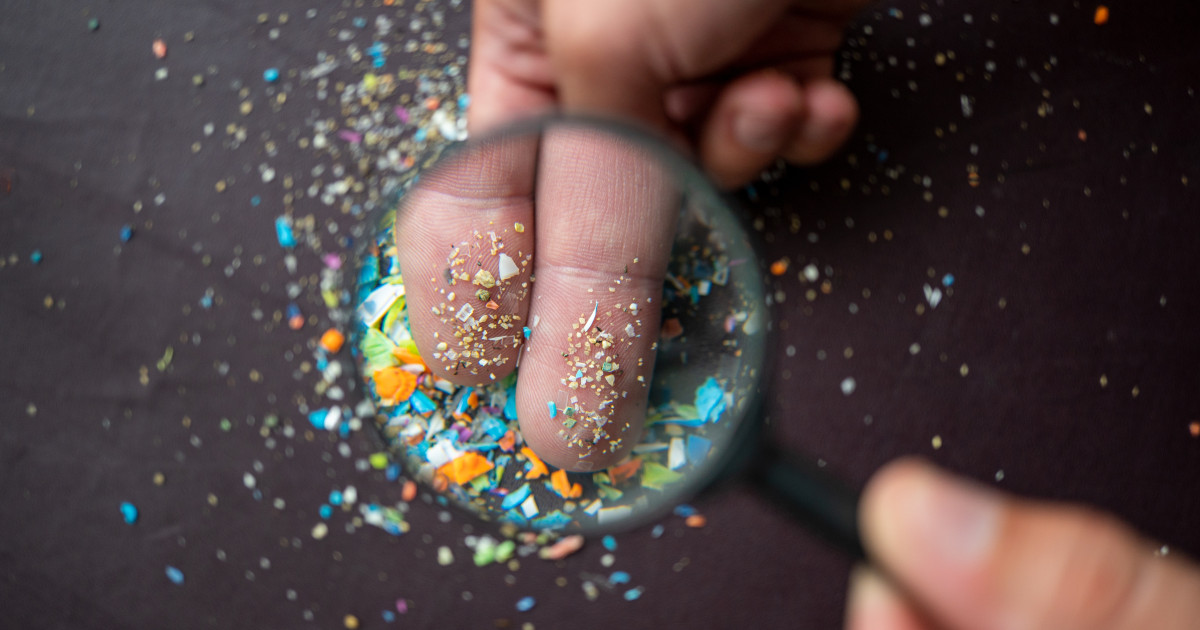 Microplasticele, particulele minuscule de plastic care au invadat ecosistemele și corpurile umane, sunt detectate aproape zilnic în medii neașteptate