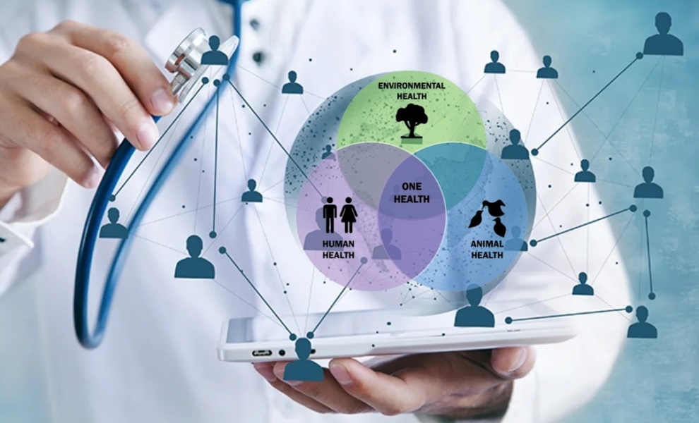 CieH și Ziarul Lumina, parteneriat pentru educație medicală