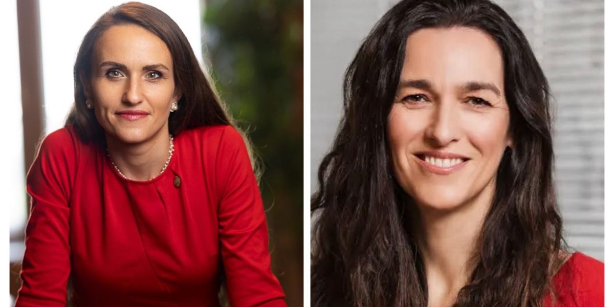 Oana Țoiu, dialog cu viitorul ministru de Externe al Ungariei: Schimbare de direcție?