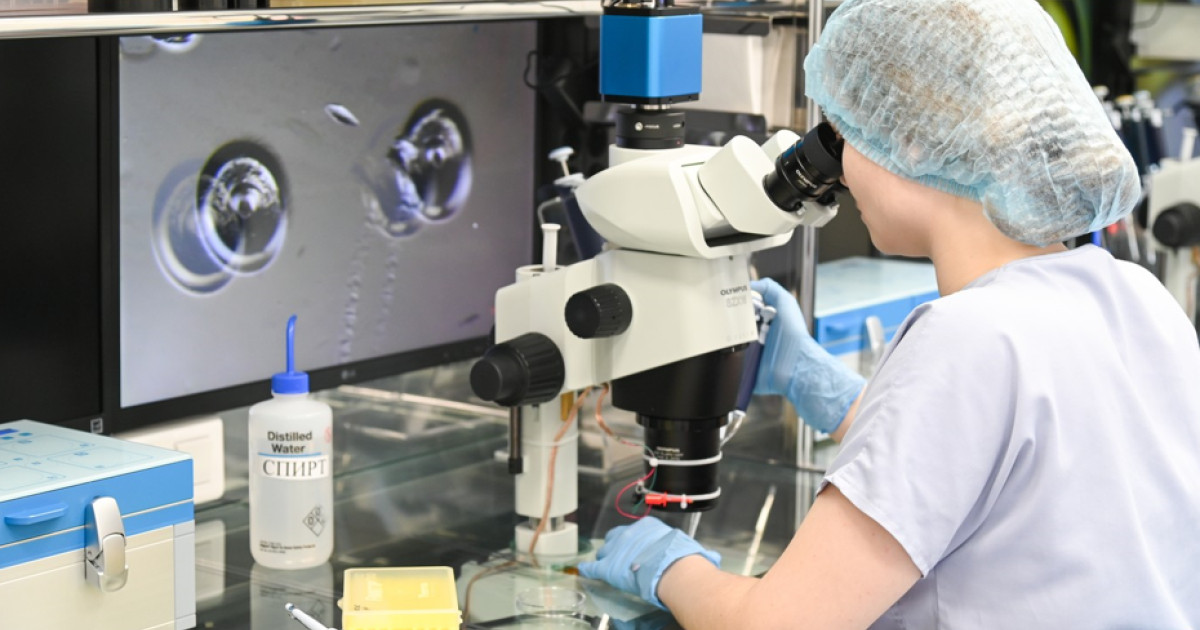 Cercetătorii japonezi avertizează asupra limitelor biologice ale clonării mamiferelor, evidențiind riscul de „colaps mutațional” cauzat de duplicarea în serie a geneticii, o practică considerată periculoasă pentru sănătatea și supraviețuirea animalelor clonate pe termen lung