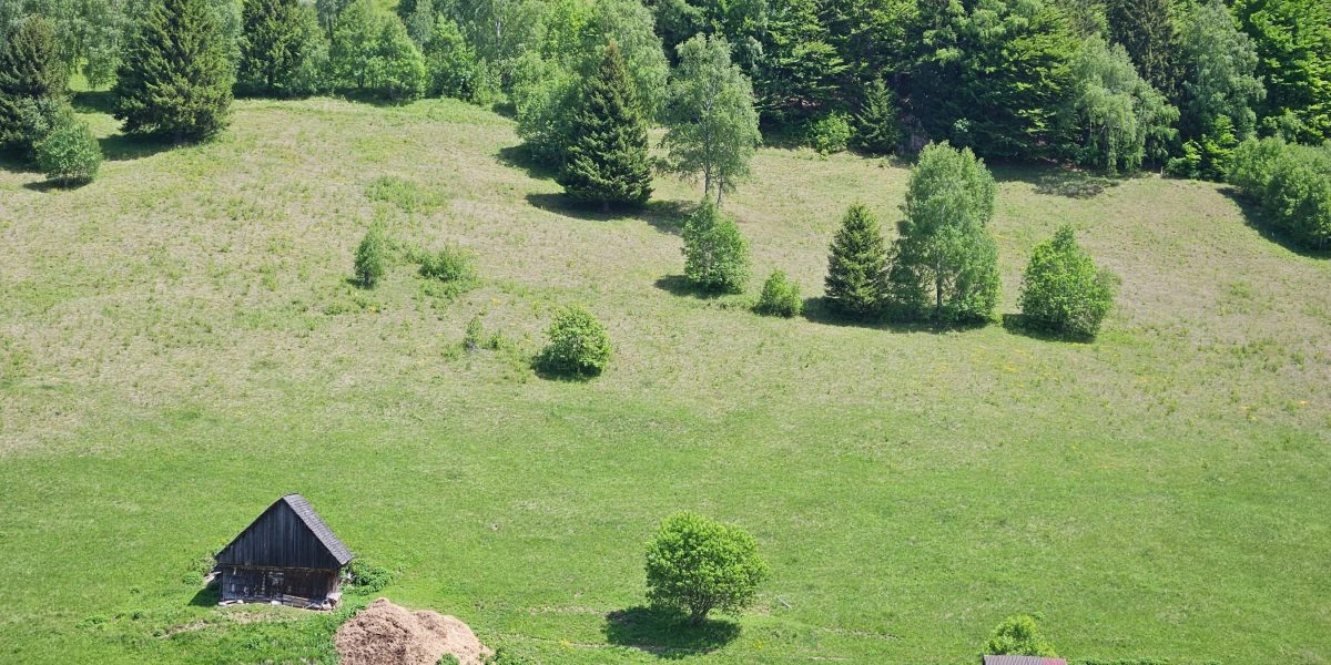 Avertisment meteo: Cum va fi vremea în România, regiune cu regiune, 14 zile
