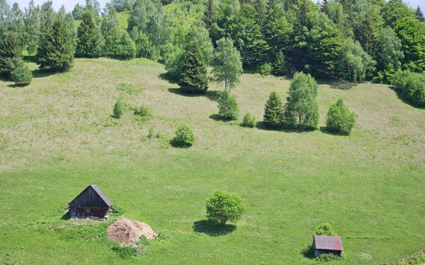 Avertisment meteo: Cum va fi vremea în România, regiune cu regiune, 14 zile