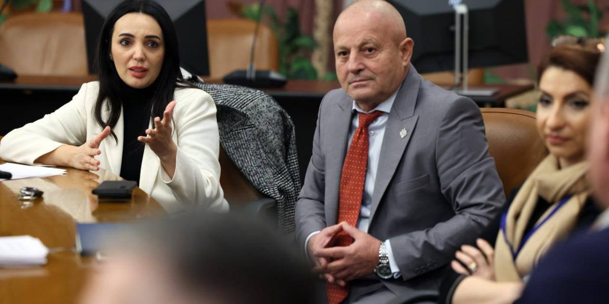 Neagu (PSD) a trecut la PNL, după ce a pierdut sprijinul: „Ce am rezolvat?”