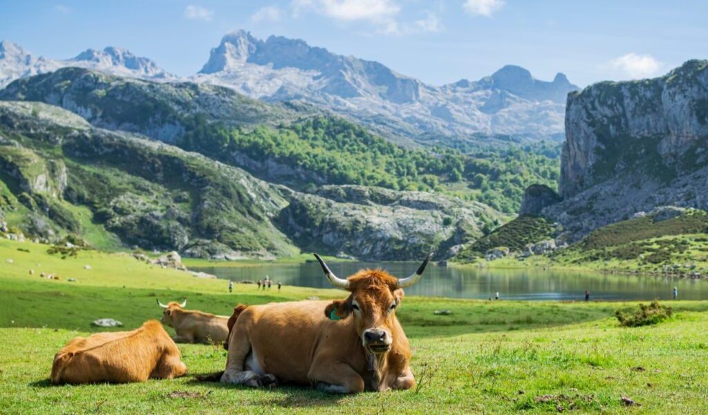 Unde-i Paradisul? Un colț din Europa, mai frumos decât în povești