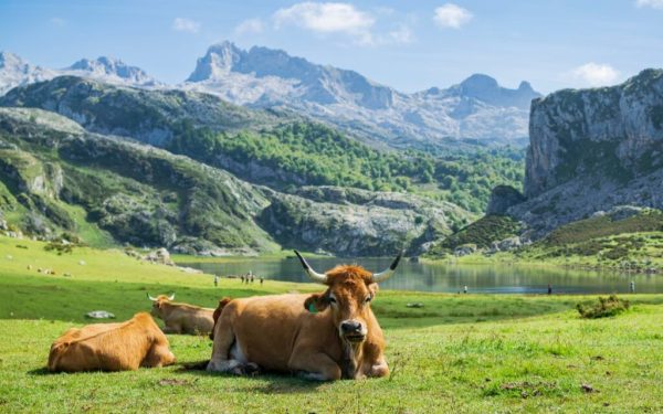 Unde-i Paradisul? Un colț din Europa, mai frumos decât în povești