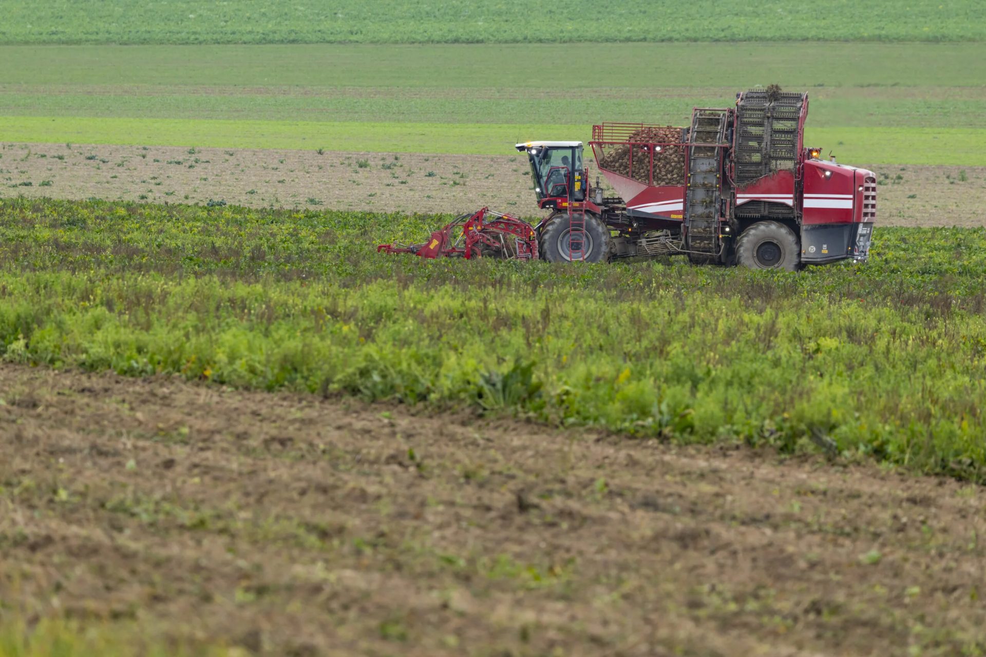 Vremea din perioada 4–10 aprilie 2026 favorizează desfășurarea normală a proceselor biologice în cea mai mare parte a regiunilor agricole din România, conform prognozei anuale emise de Administrația Națională de Meteorologie (ANM)