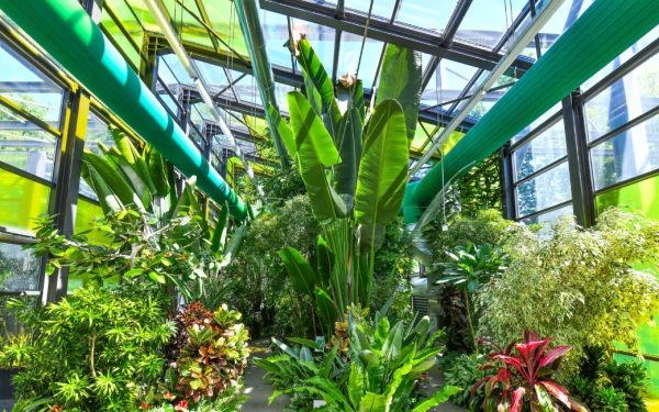 Program special de Paște la Serele Exotice din Parcul Drumul Taberei