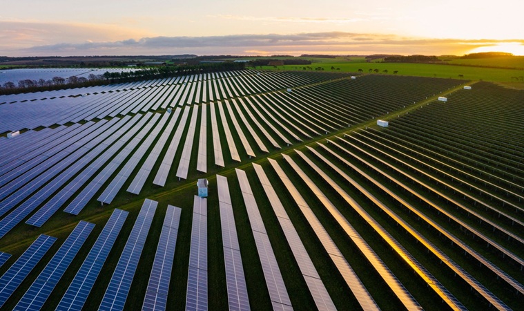 Anglia dă undă verde celei mai mari ferme solare: 180.000 de case, alimentate!