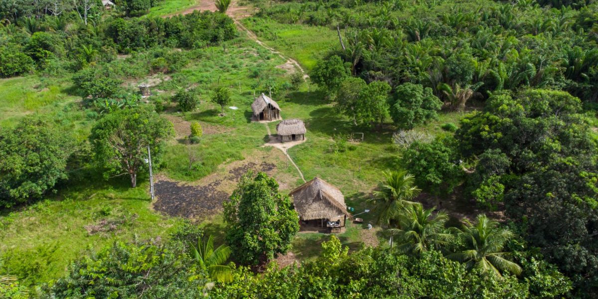 Drumuri ANTICE, vechi de 2.700 de ani, dezvăluite în adâncurile Amazonului