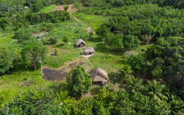 Drumuri ANTICE, vechi de 2.700 de ani, dezvăluite în adâncurile Amazonului