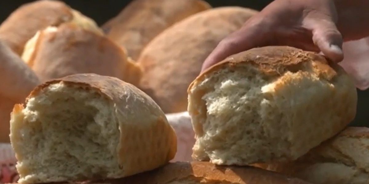 Banatul, regiune gastronomică EUROPEANĂ din 2028: Ce surprize ne așteaptă?