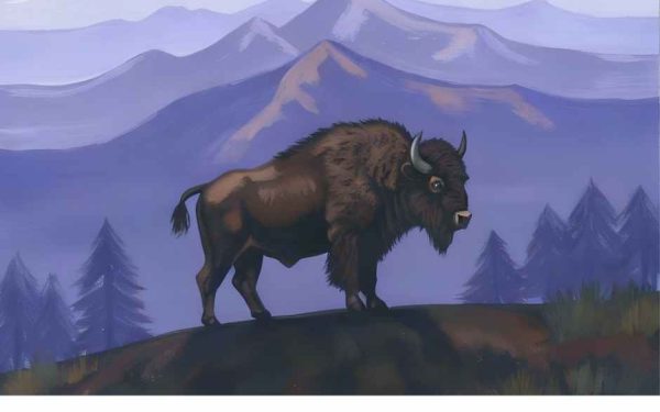 România, pe harta mondială a sunetelor naturii, prin Earth FM