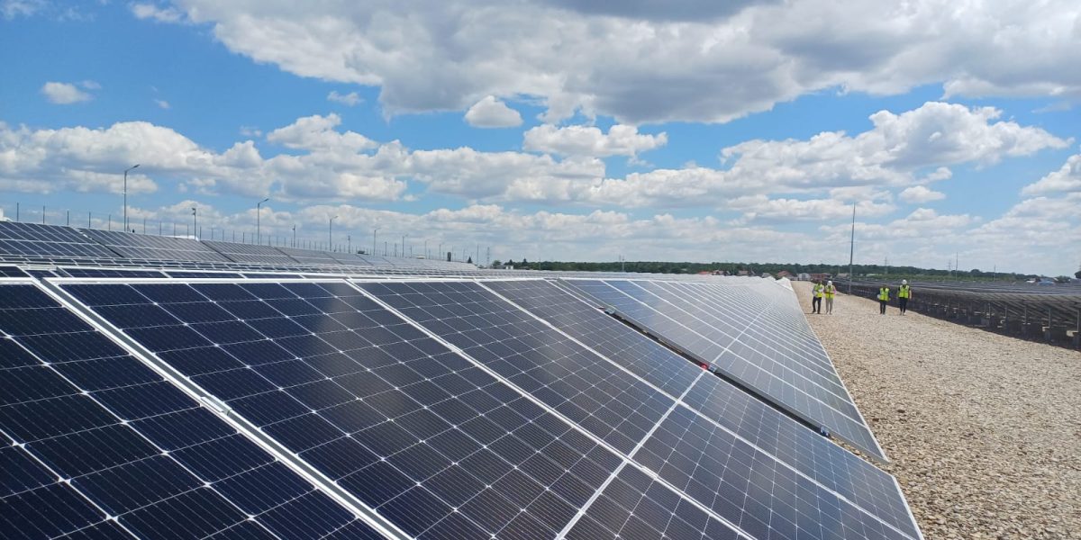 Băieții „deștepți” din energie vând parcuri solare pe OLX. Ce face statul?