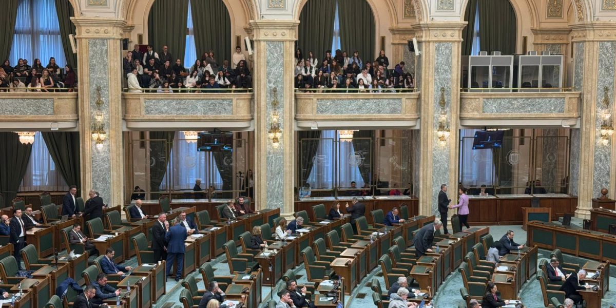 Haos în Senat: Votul alcoolului pe stadioane a scos nervii parlamentarilor