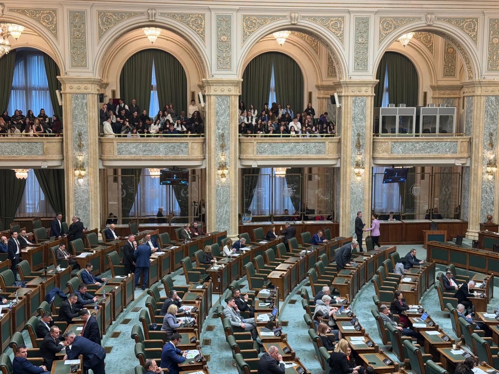 Haos în Senat: Votul alcoolului pe stadioane a scos nervii parlamentarilor