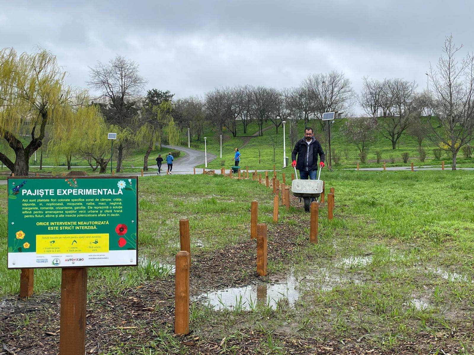 Deși parcul Tineretului din București a fost mai puțin vizitat în acea zi plină de ploaie, o zonă specială despre care nu mulți știu a fost atent îngrijită de voluntarii Asociației Parcul Natural București