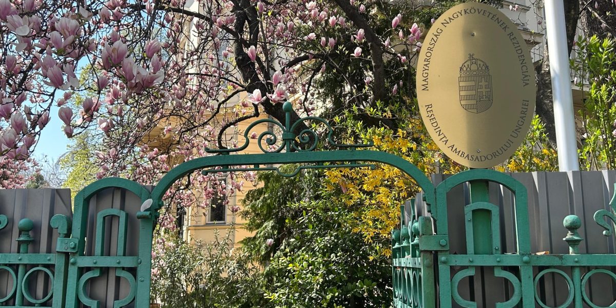 Reportaj EXCLUSIV: Reacții la înfrângerea lui Viktor Orban, din inima Bucureștiului