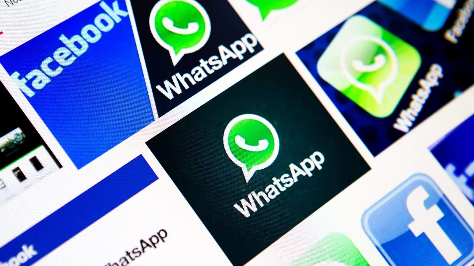 WhatsApp introduce username: Adio, număr de telefon la mesaje
