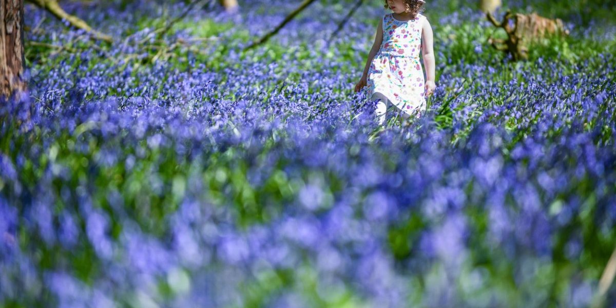 Vremea se schimbă: Când revin temperaturile de vară în toată România