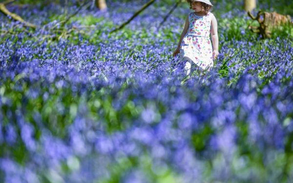 Vremea se schimbă: Când revin temperaturile de vară în toată România