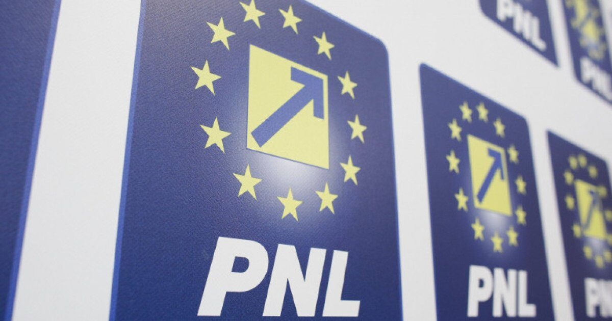 PNL cere demisia unui vicepreședinte PSD din CJ Argeș, anchetat pentru corupție