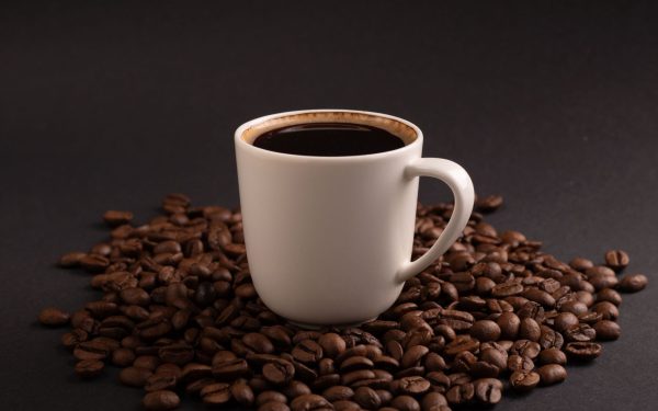 Cofeina face minuni? Experimentul inedit cu furnici dezvăluie reacții surprinzătoare