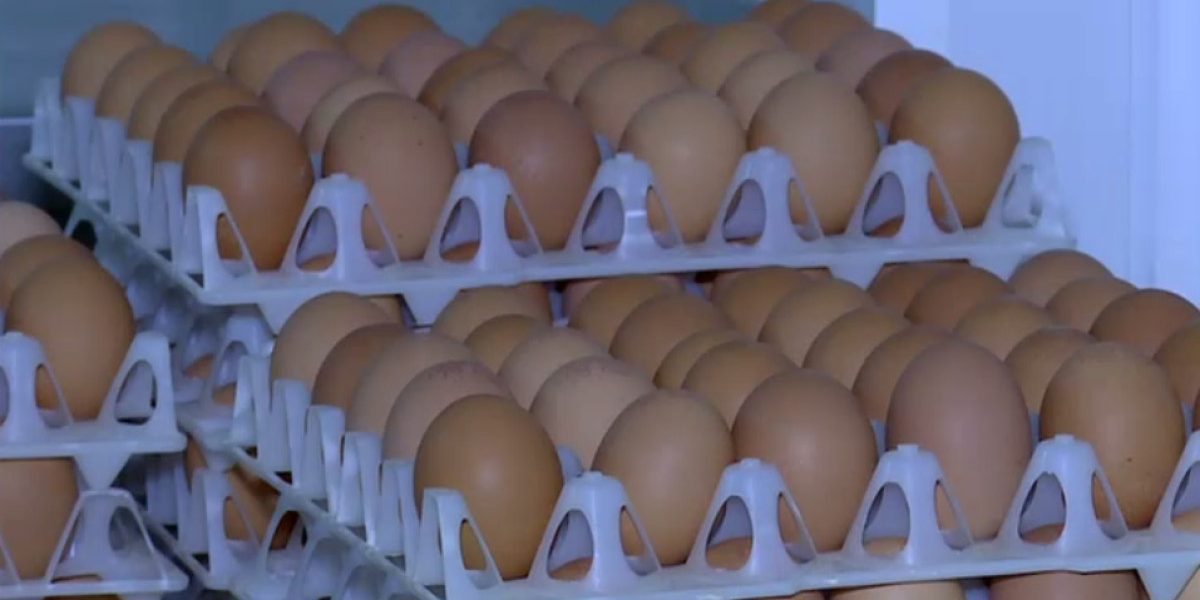 Ouă cu Salmonella pe piață: Retragere masivă în România, înainte de Sărbători