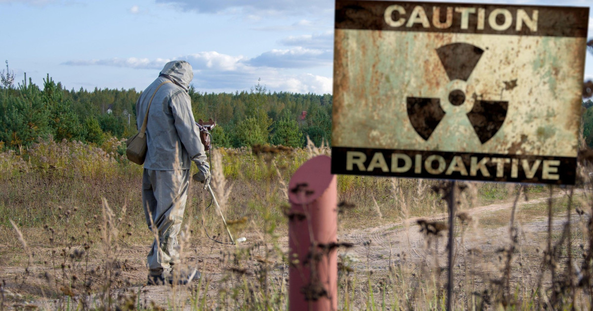 O ciupercă descoperită în zona de excludere de la Cernobîl a suscitat ample discuții în rândul cercetătorilor, după ce s-a observat că nu doar că supraviețuiește în medii extrem de radioactive, ci pare chiar să se dezvolte mai bine în prezența radiațiilor