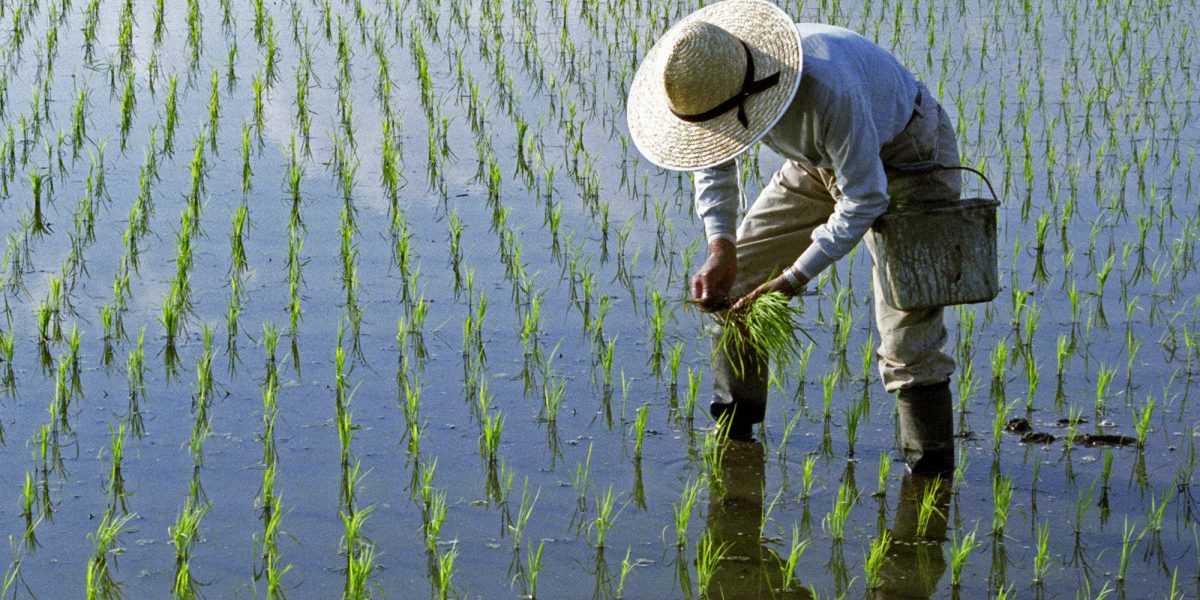 Lipsa de combustibil, efect direct al războiului din Iran: Asia, sub amenințarea foametei